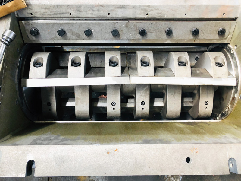 IMG_3242 (20190414-003536)